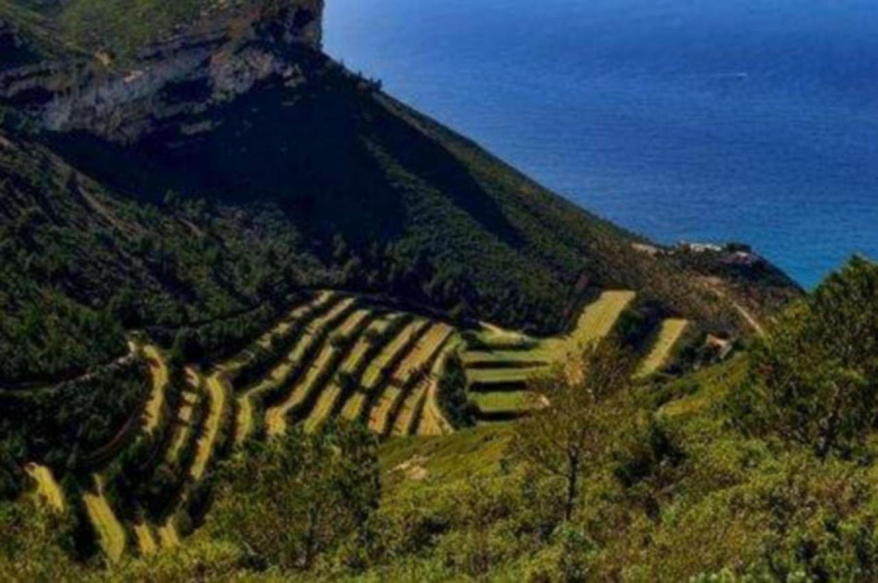 L'Odyssee Bleue Vue Mer กาซีส์ ภายนอก รูปภาพ